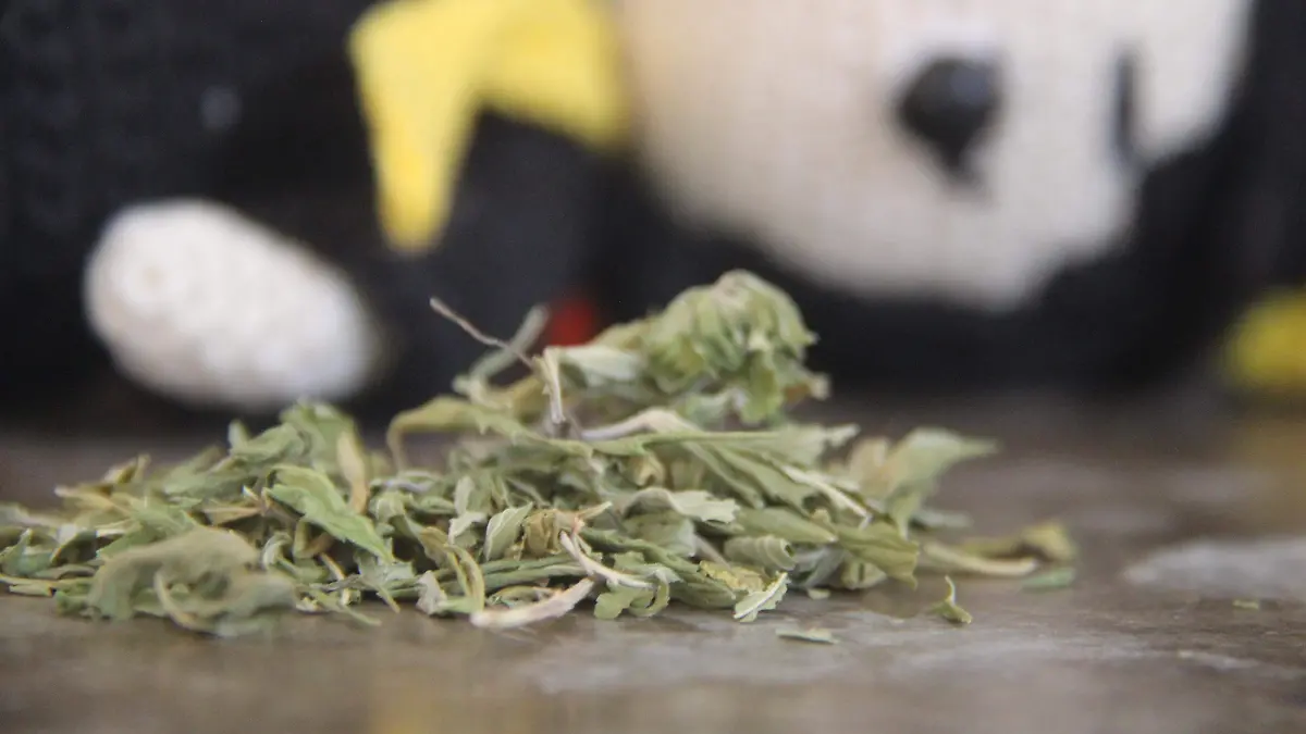 ANEXOS AGS JOVENES EN DROGAS 