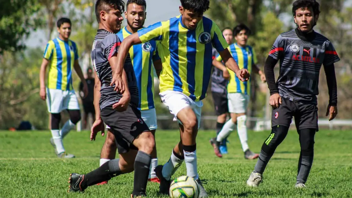 torneo 6x6 - 2