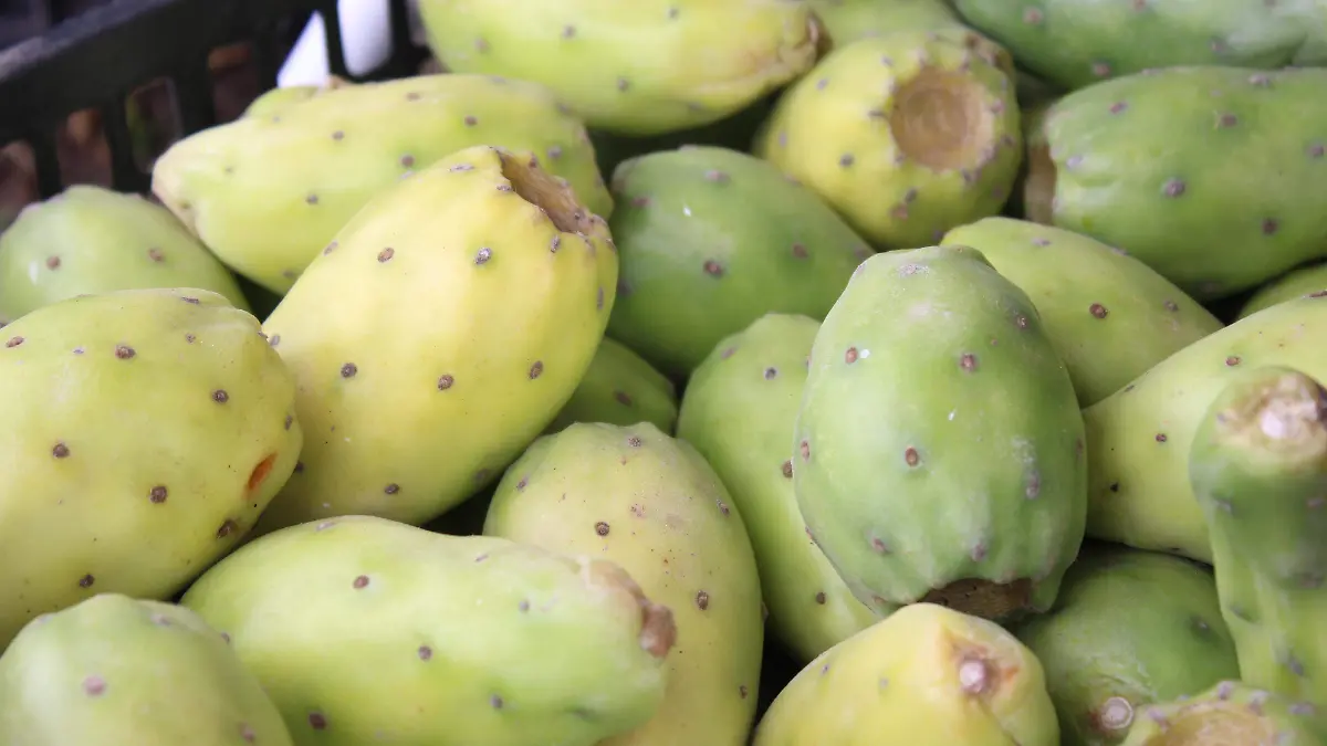 TUNAS-TEMPORADA-FRUTAS