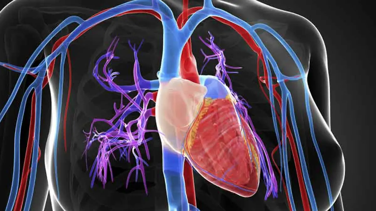 CÁMARA ANECOICA-MINNESOTA-SILENCIO