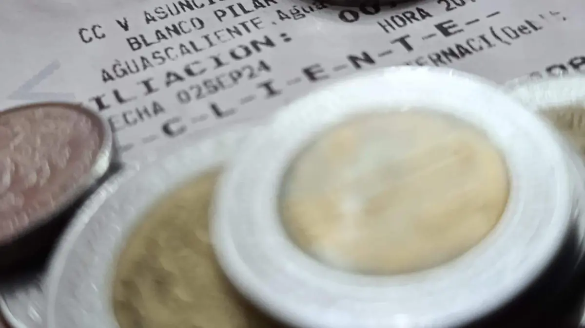 PROPINAS SERVICIO (2)