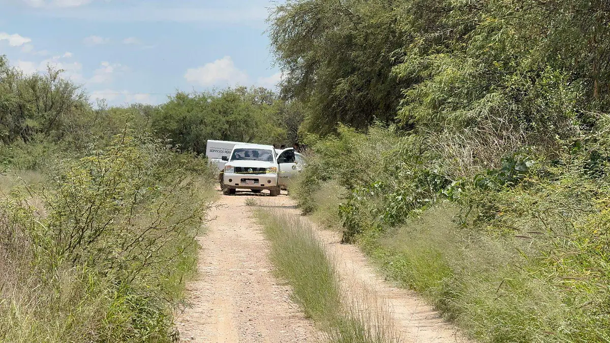 DETENIDOS_HECHOS_VIOLENCIA
