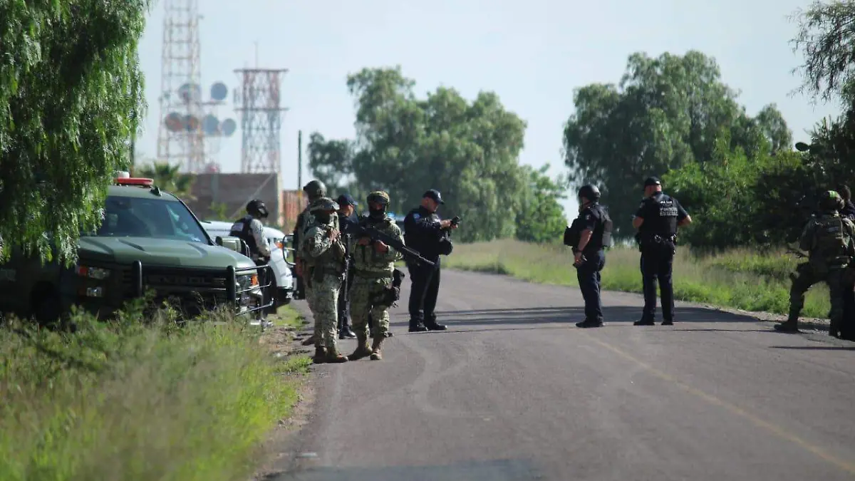 ADN-IDENTIFICACIÓN-DETENIDOS