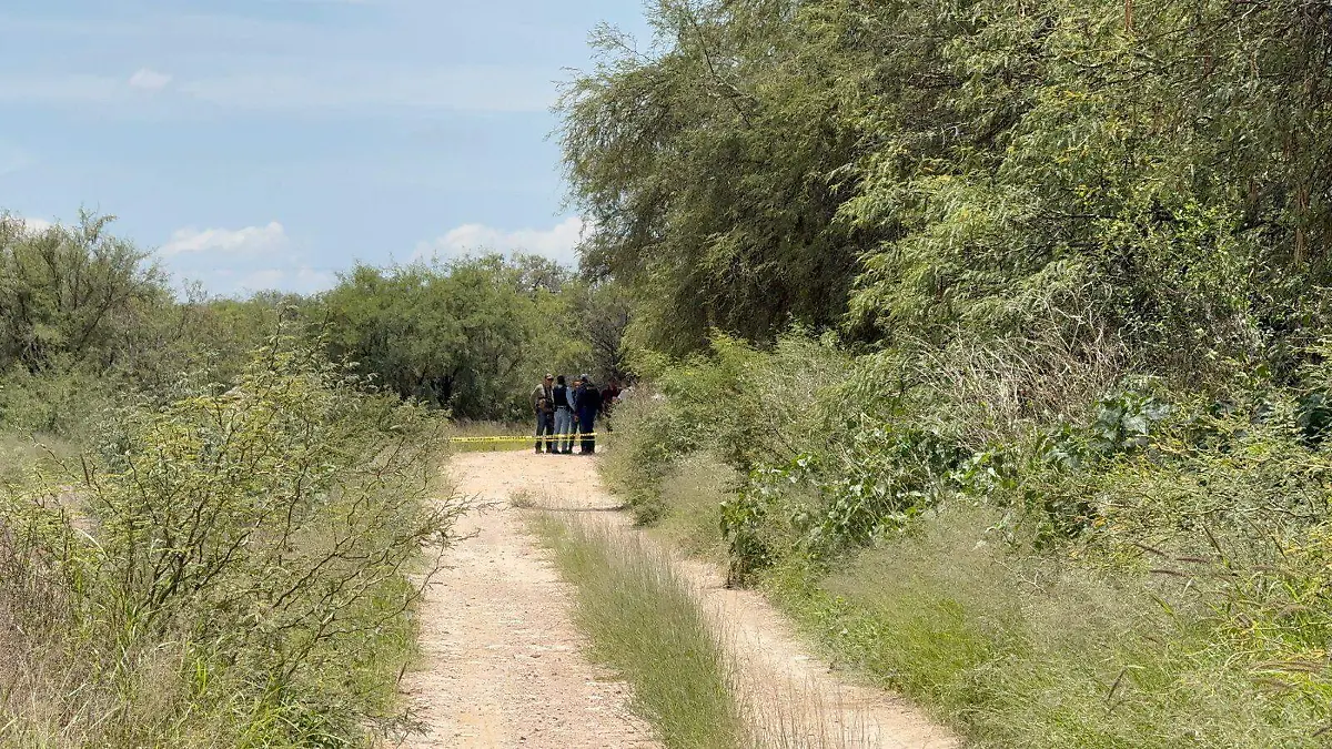VINCULADOS_CRIMEN ORGANIZADO_POLICÍA