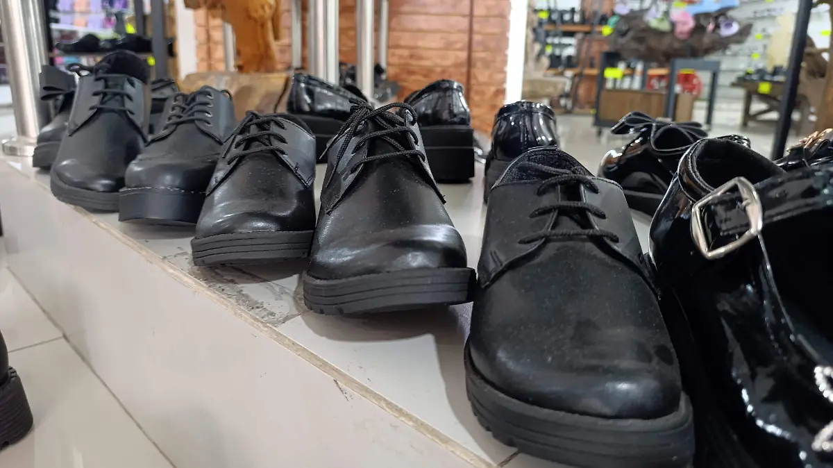 ZAPATOS (1)