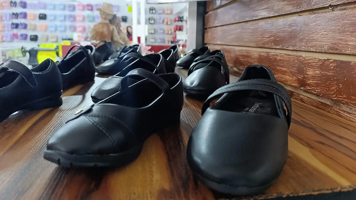 ZAPATOS-CALZADO ESCOLAR