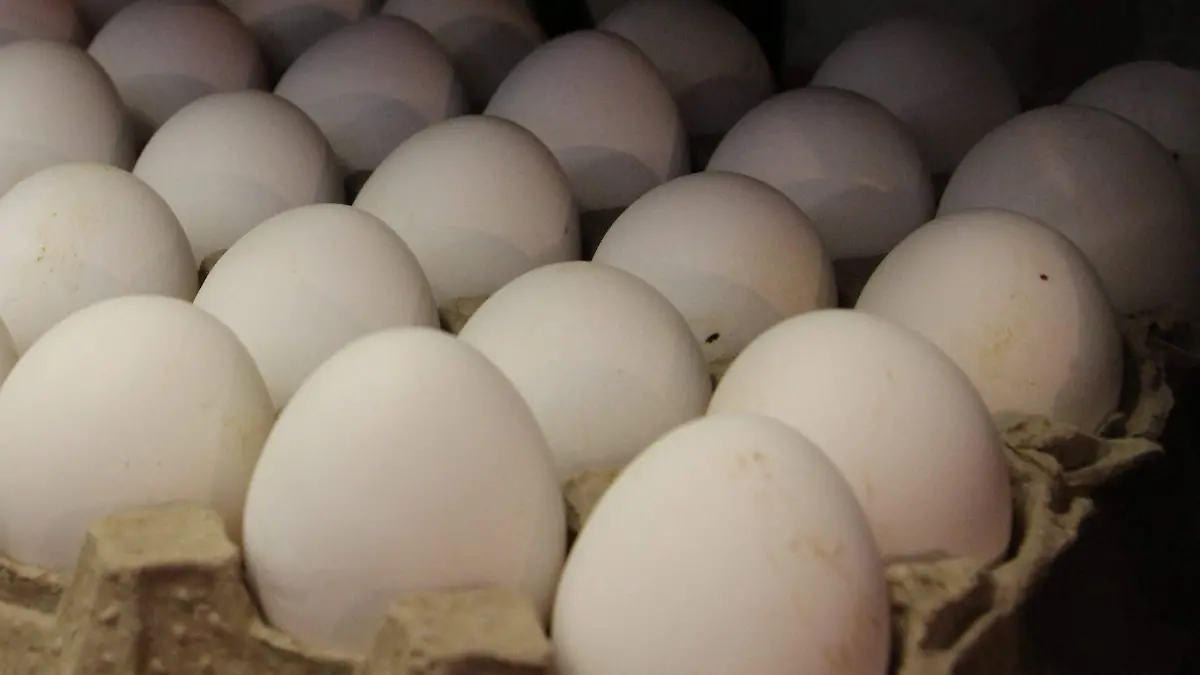 HUEVO-DESABASTO-PRECIO