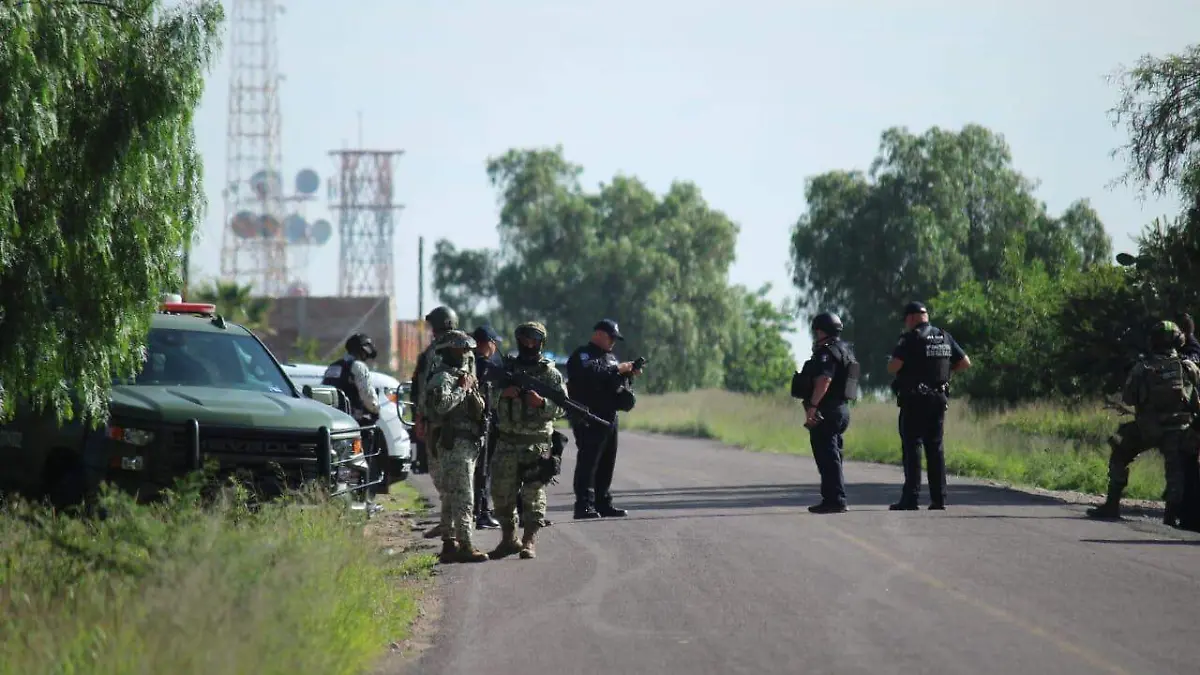 CAMPAMENTO-INVESTIGACIÓN