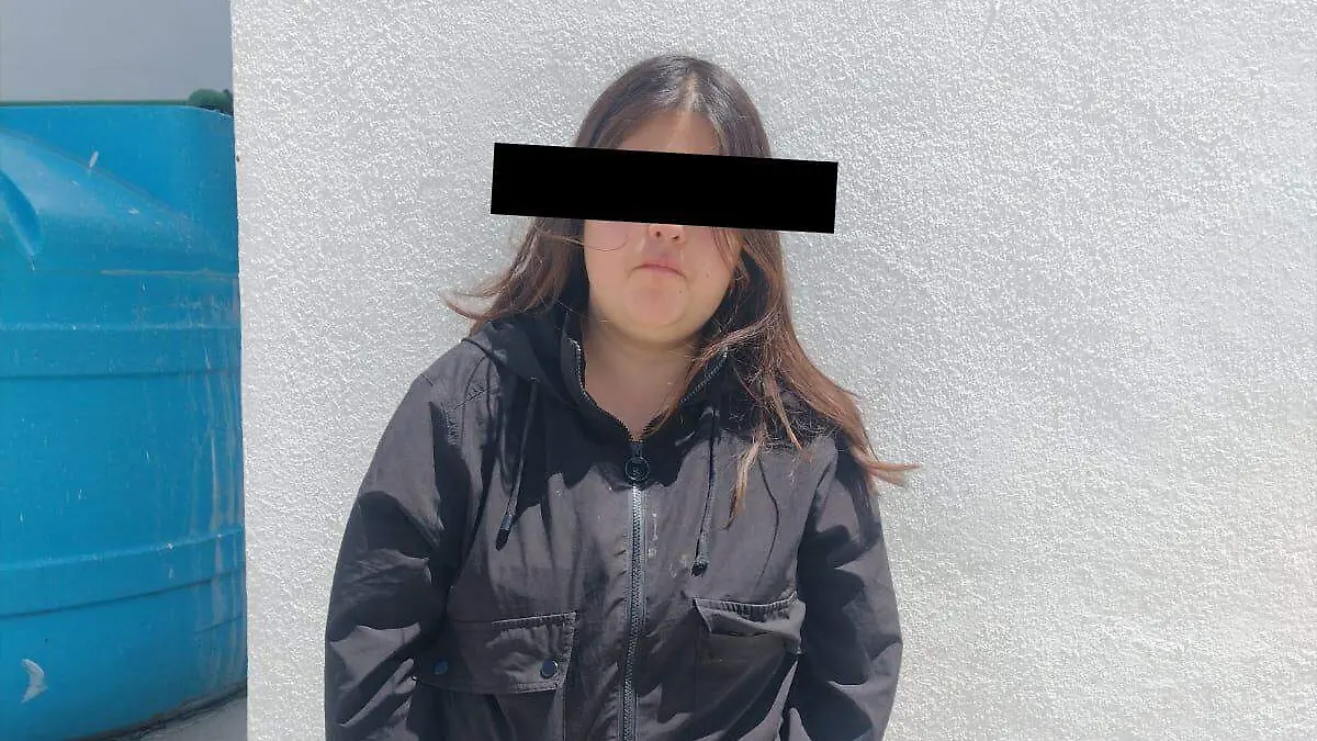 ROBO FARDERO_DETENIDA