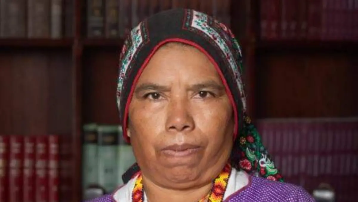 DIPUTADA IRMA DE LA CRUZ