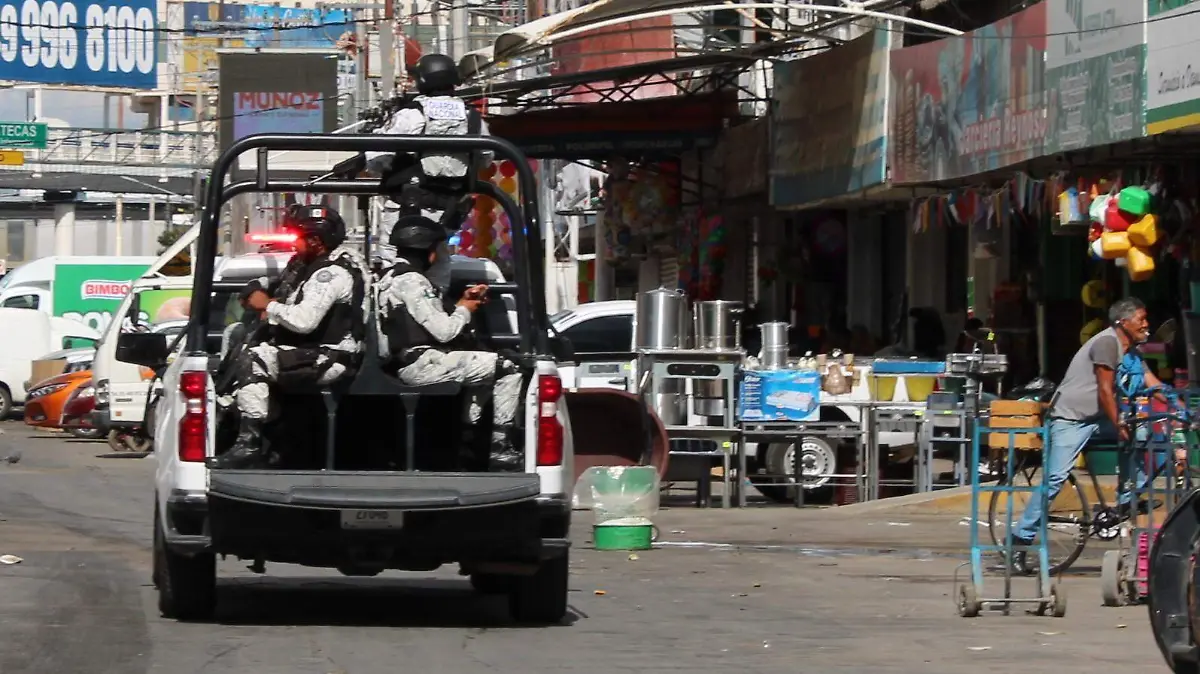 SEGURIDAD-GOBIERNO DE MEXICO