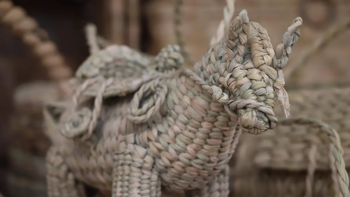 SEMILLAS DE VIDA_FESTIVAL ARTESANAL