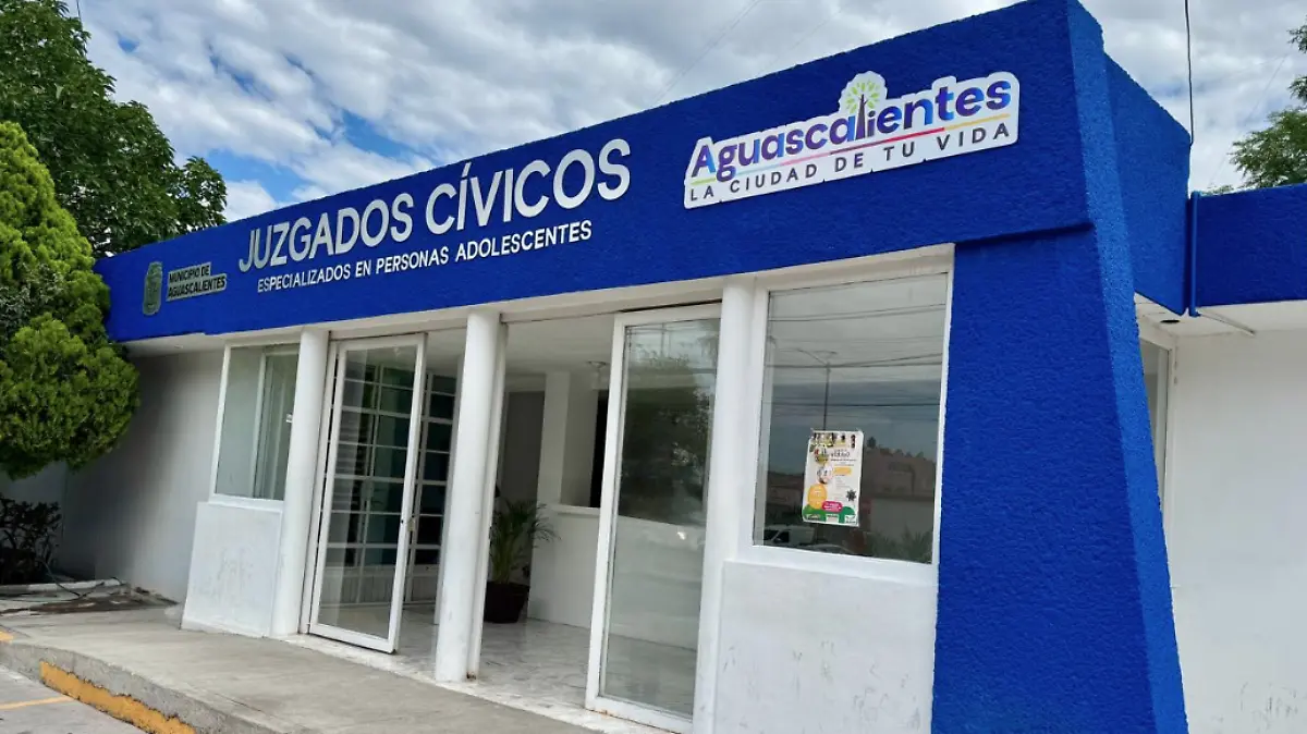 JUZGADOS CIVICOS-ADOLESCENTES