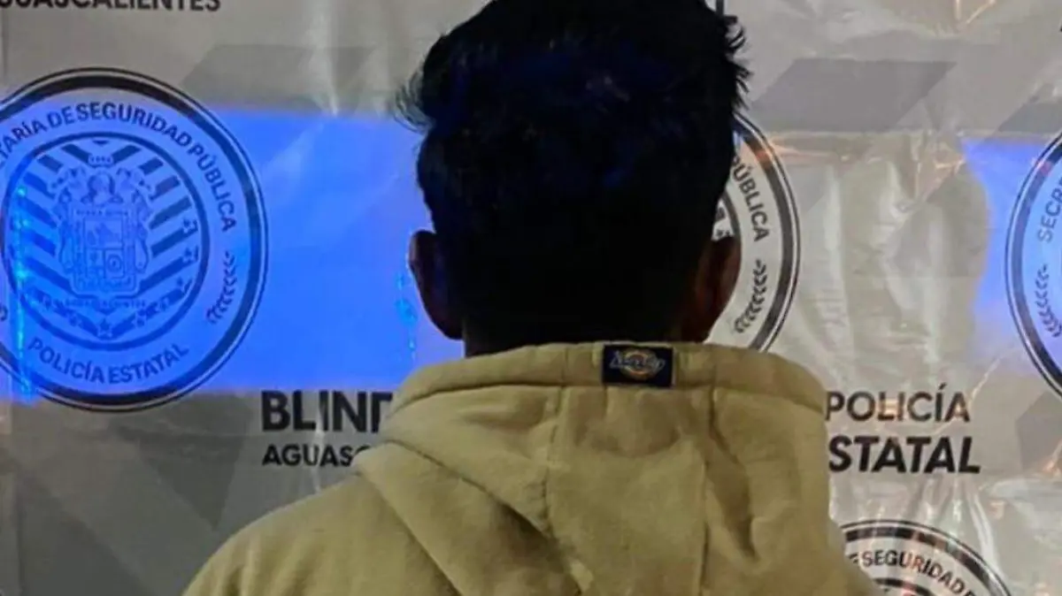 RESPONSABLES_DELITOS_DETENIDOS