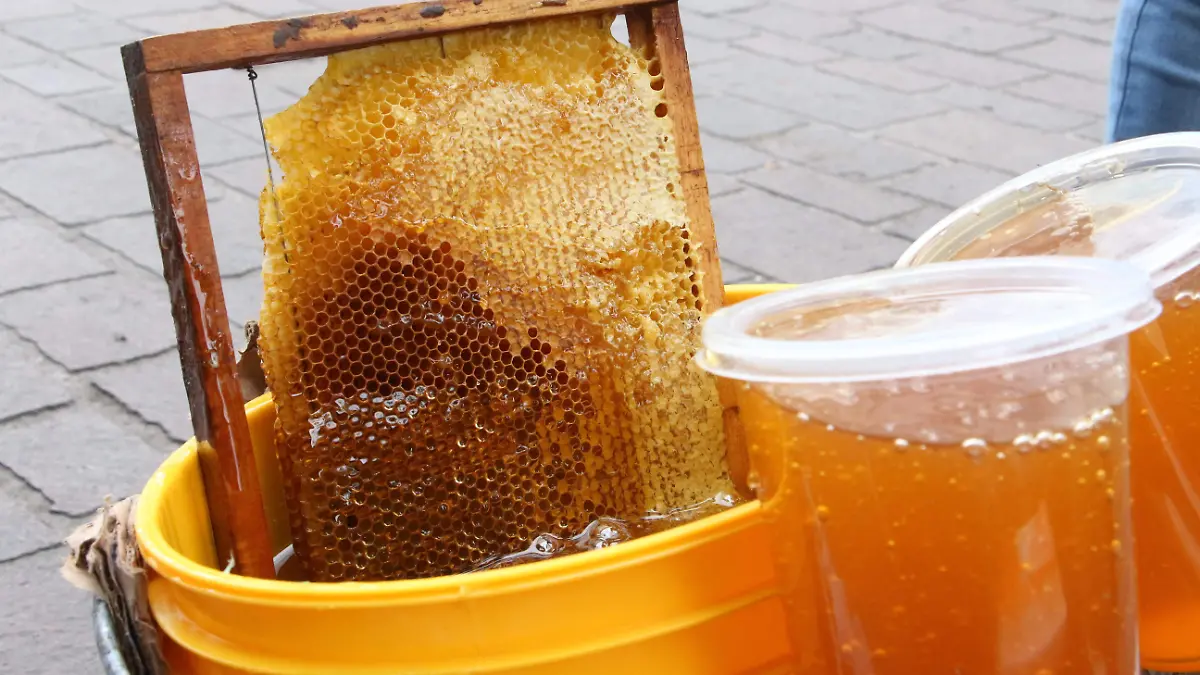 ABEJAS_COLMENAS_PROTECCIÓN 