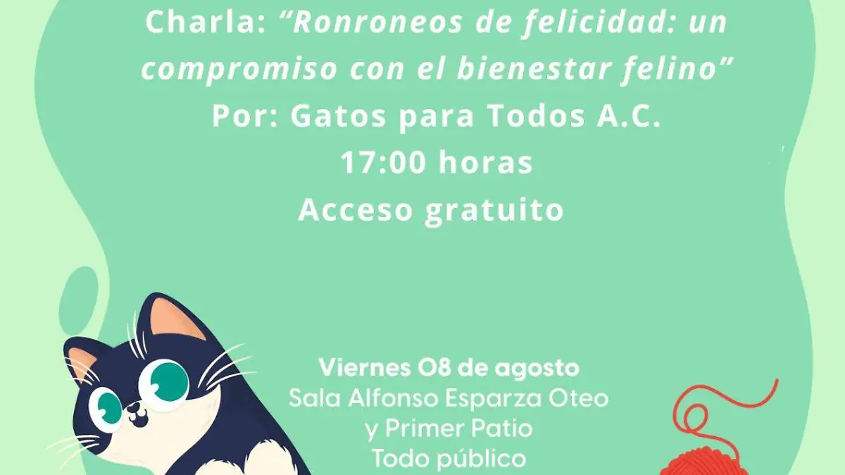 GATO 1