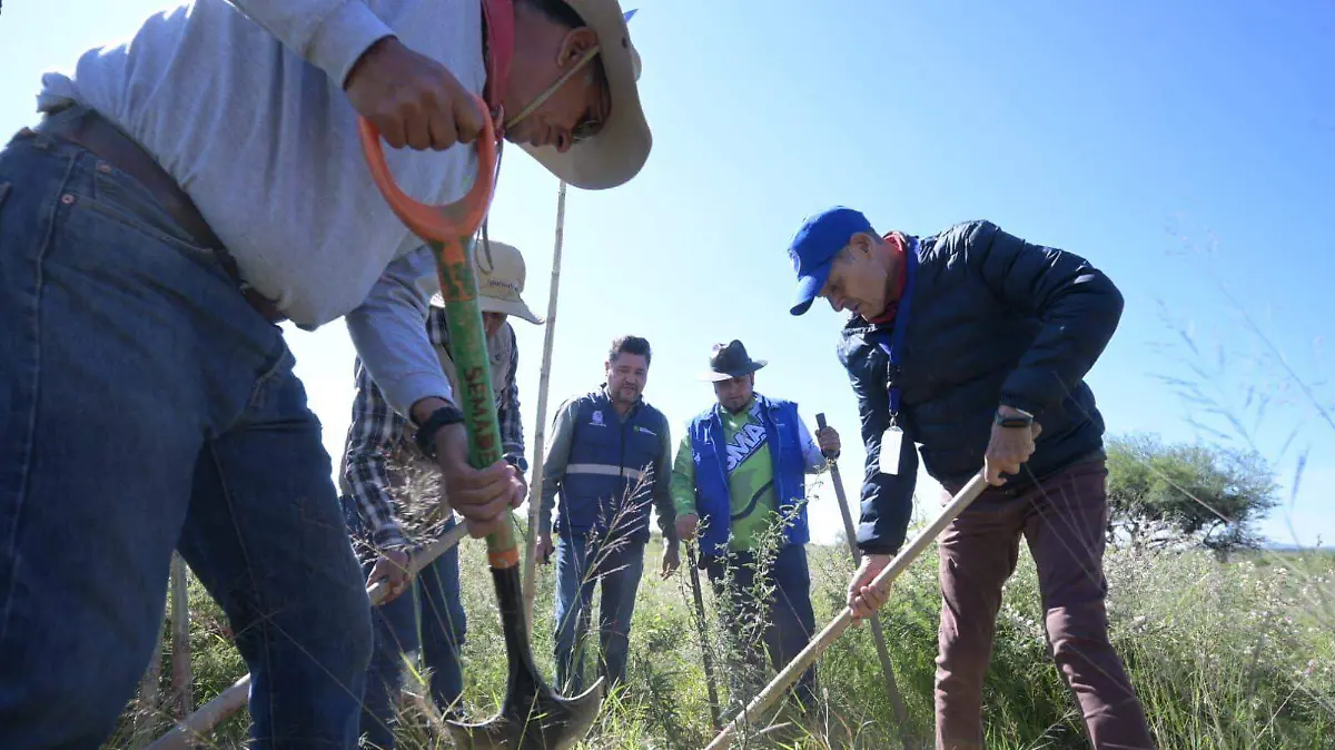 REFORESTACION-BOSQUE DE COBOS