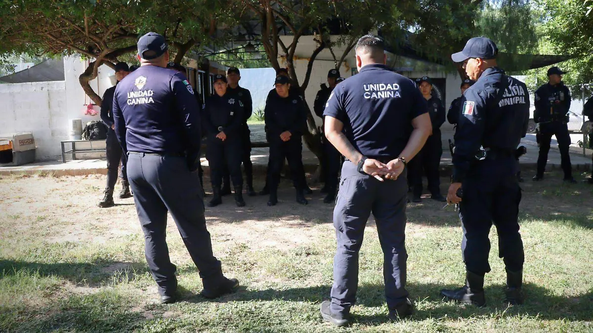 GRUPO K9-CERTIFICACIÓN-PERRITO