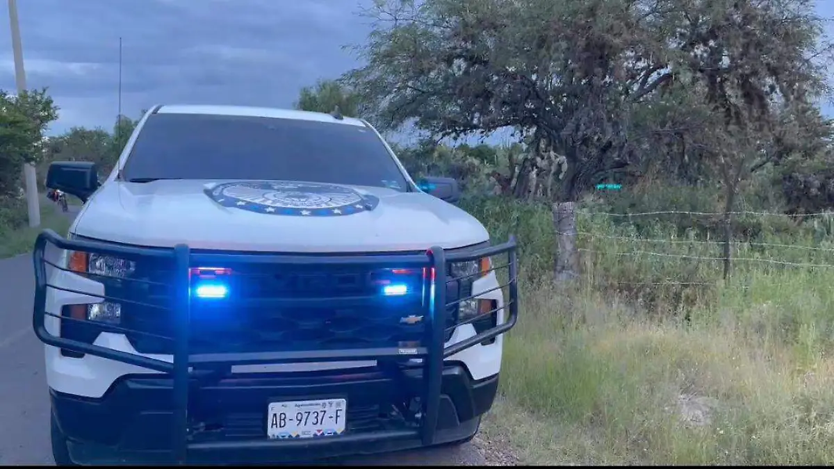 INVESTIGACIÓN-ACRIBILLADO-EJIDO MORELOS