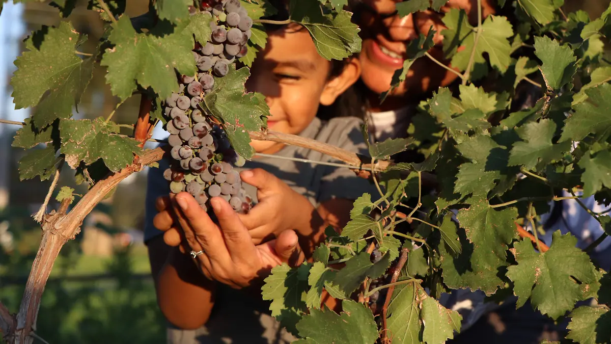 VISITANTES_TURISMO EN AGUASCALIENTES