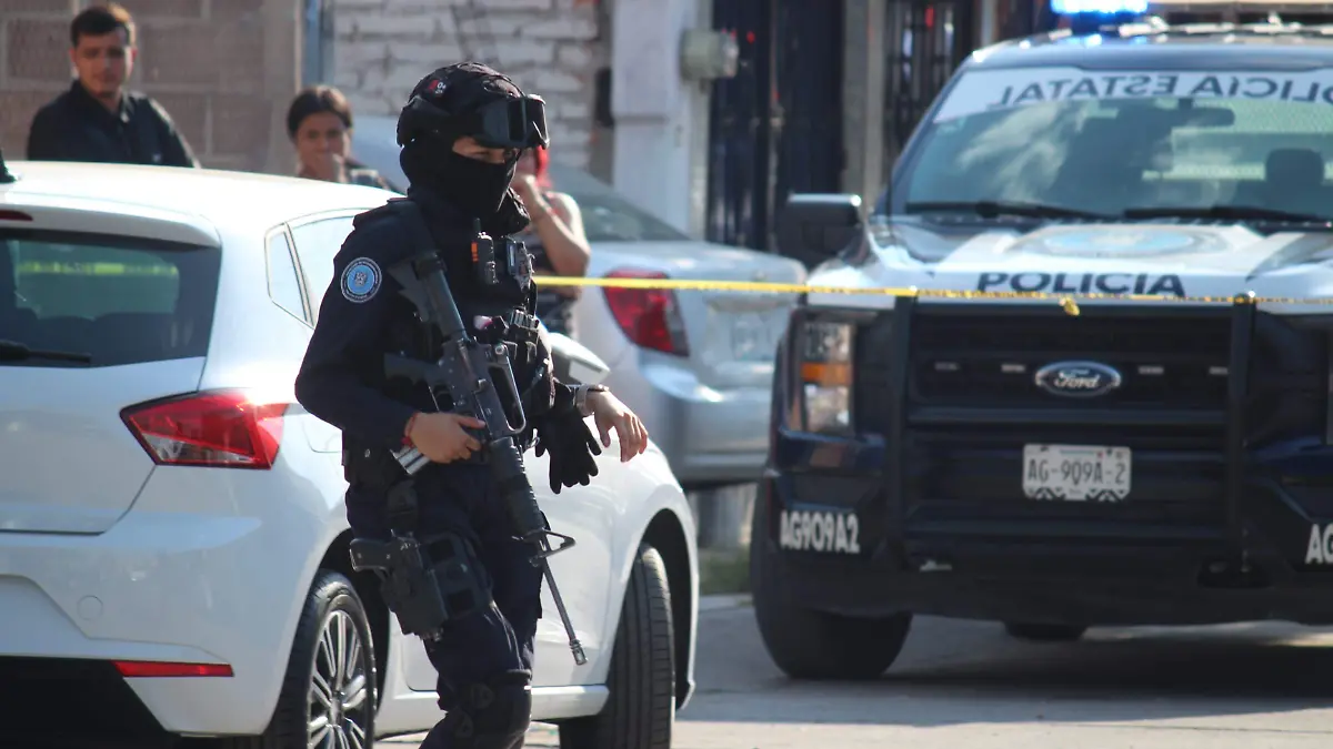 POLICÍAS FEDERALES_BRECHA DE GÉNERO_INEGI
