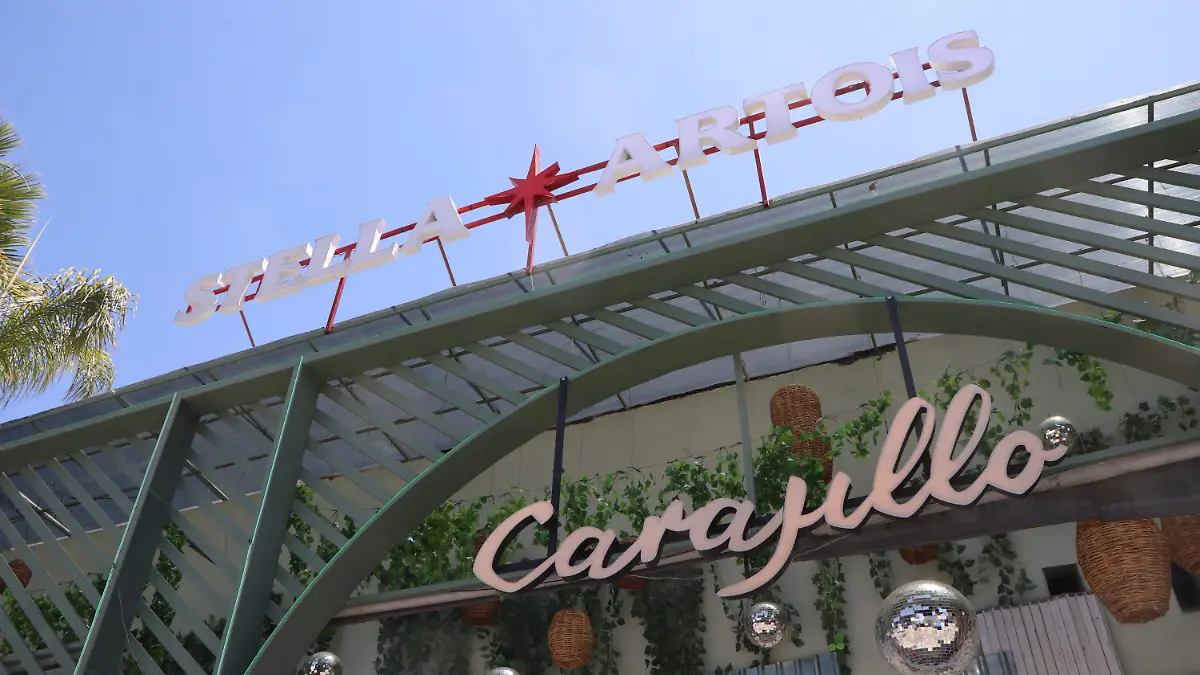 ANTROS BARES_VIDEOVIGILANCIA_C5I