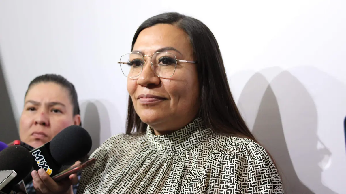 DIPUTADA MIRNA MEDINA