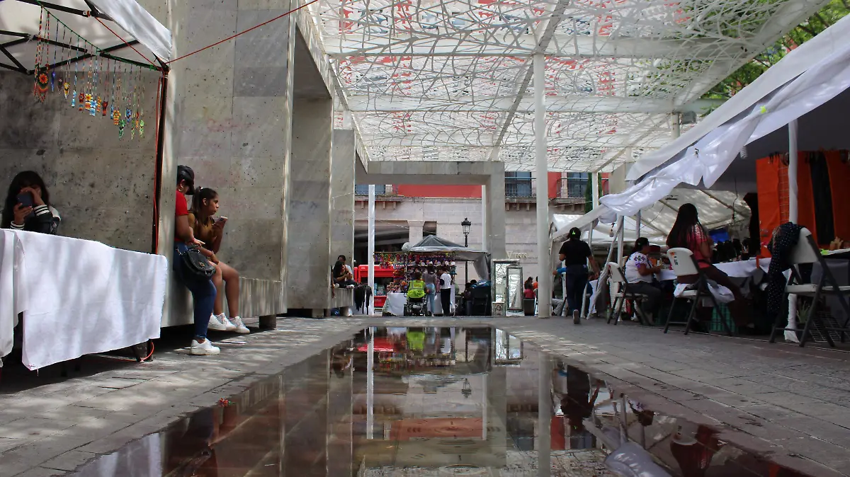 PATIO DE LAS JACARANDAS-HISTORIA