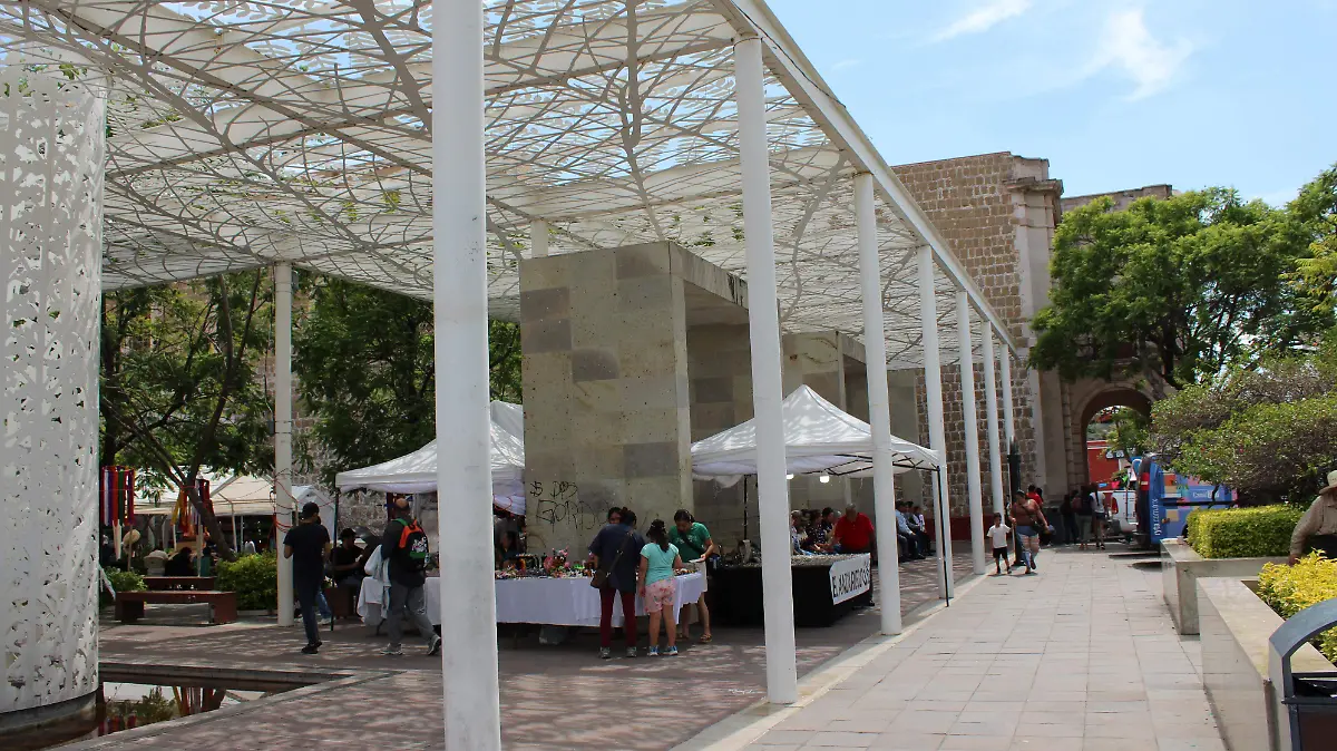 PATIO DE LAS JACARANDAS-HISTORIA