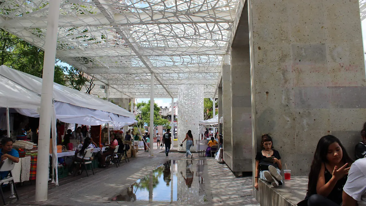 PATIO DE LAS JACARANDAS-HISTORIA