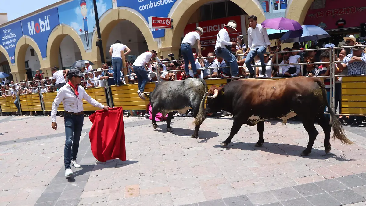 ENCIERRO (7)