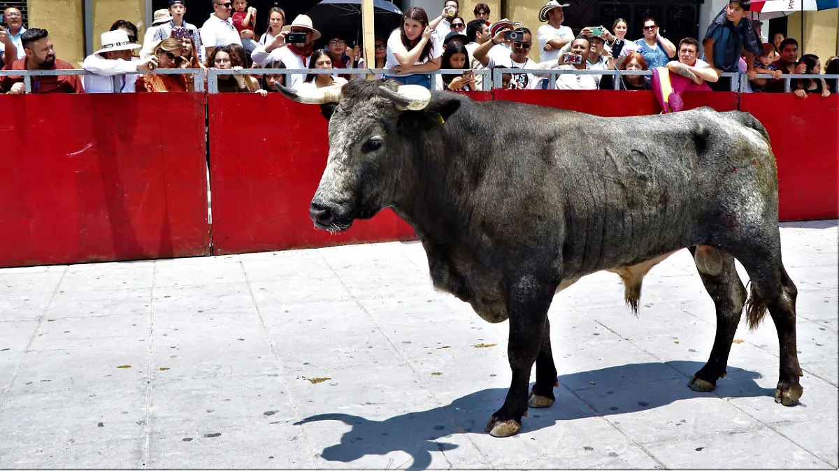 DIFERENCIA-ENCIERRO-PAMPLONADA
