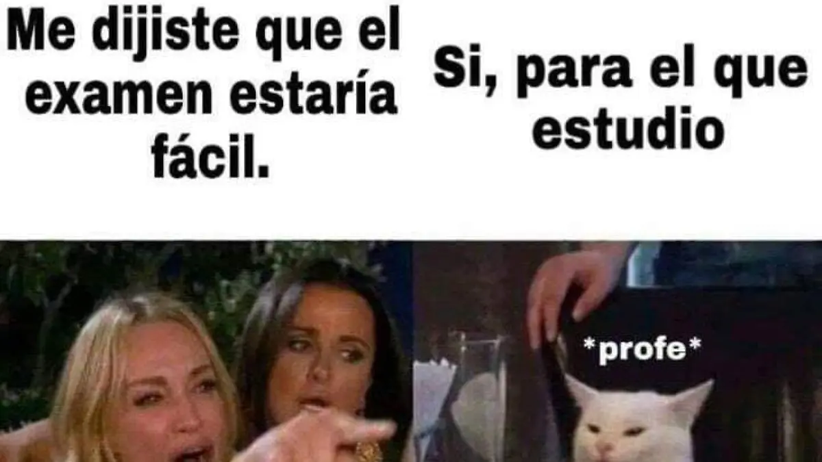 MEME-VIRAL-DIVERTIDO