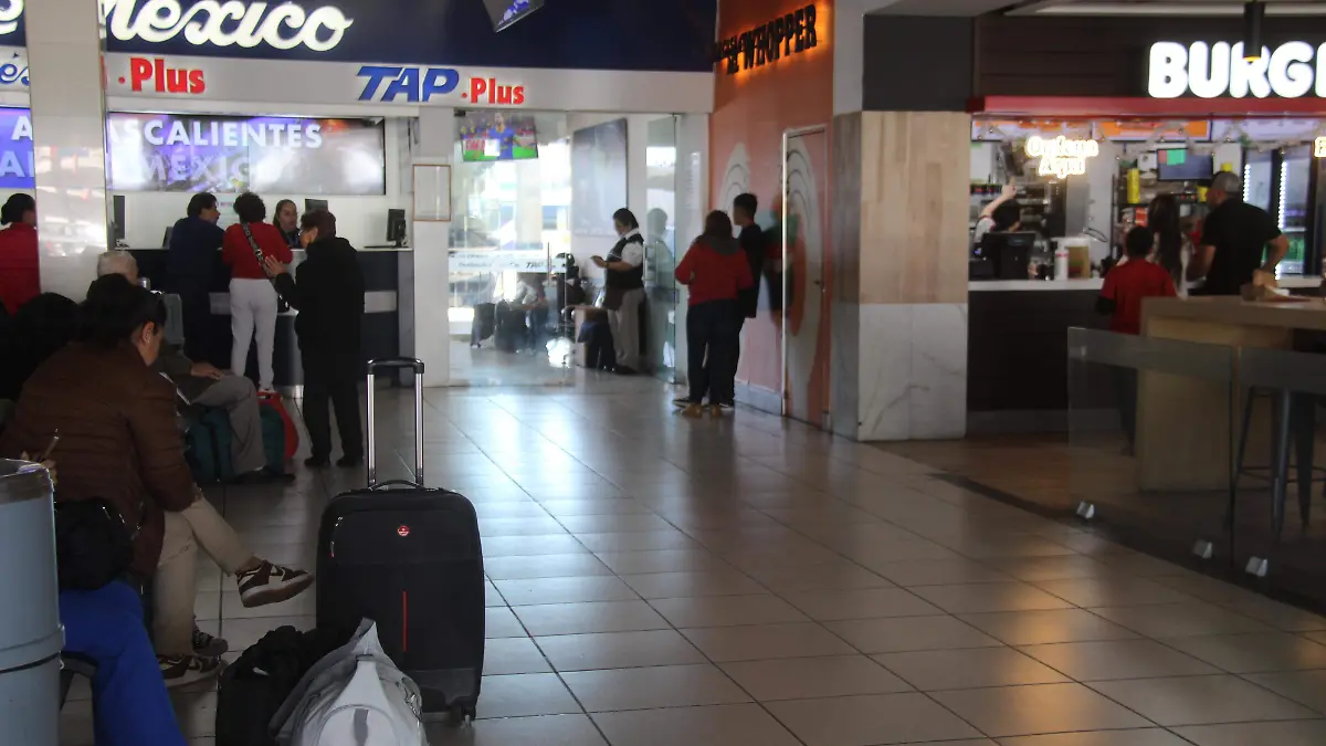 AUTOBUSES-CENTRAL-VACACIONISTAS