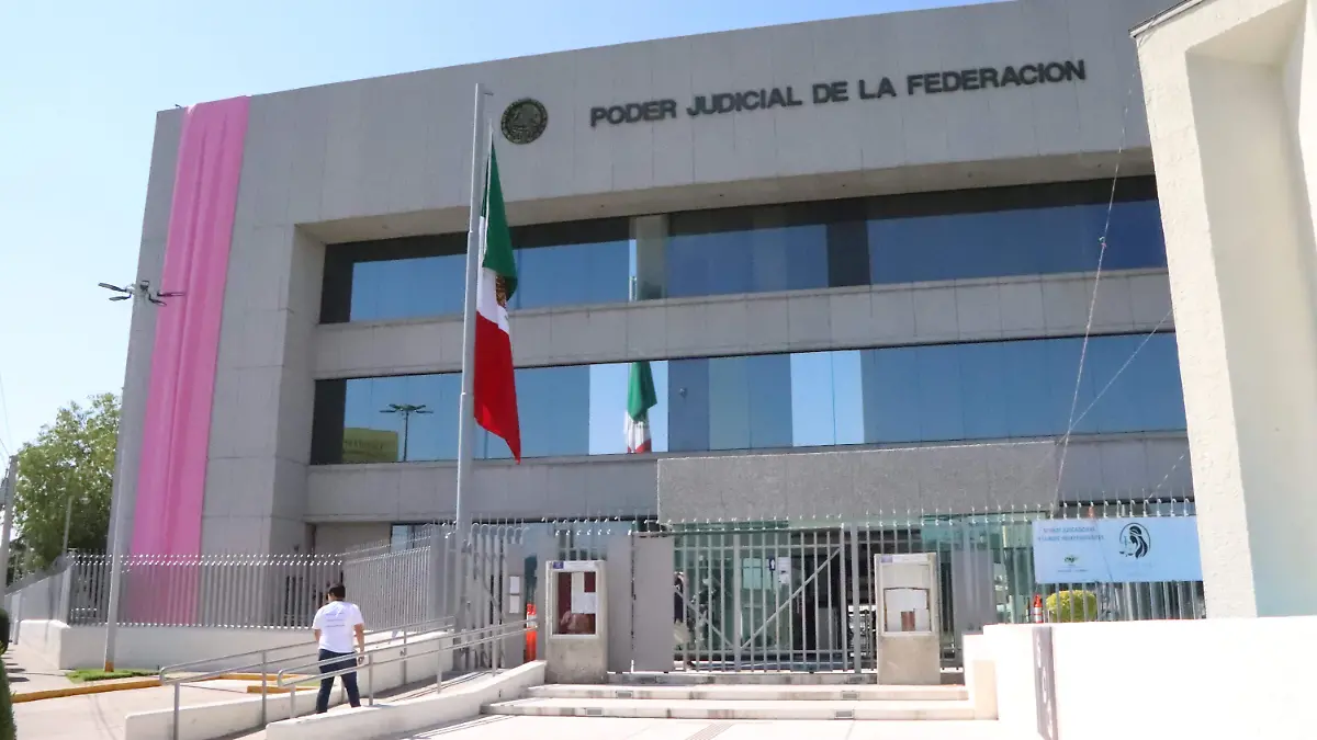 REFORMA JUDICIAL_MUJERES_VIOLENCIA