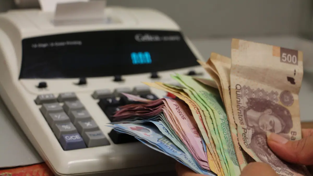 ECONOMIA DEL ESTADO_INGRESOS_FAMILIAS