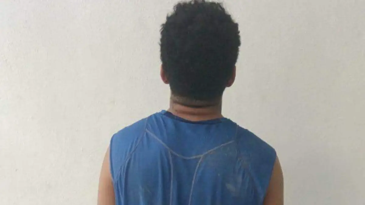 DETENIDO_PRESUNTO RESPONSABLE_VIOLENCIA