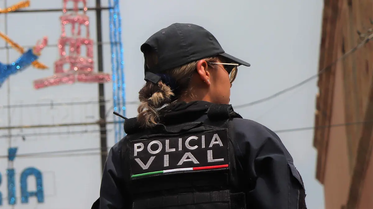 POLICIA VIAL (1)