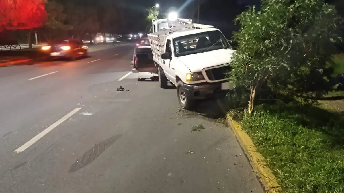MULTA CHOQUE_CHOCAR CONTRA UN ÁRBOL