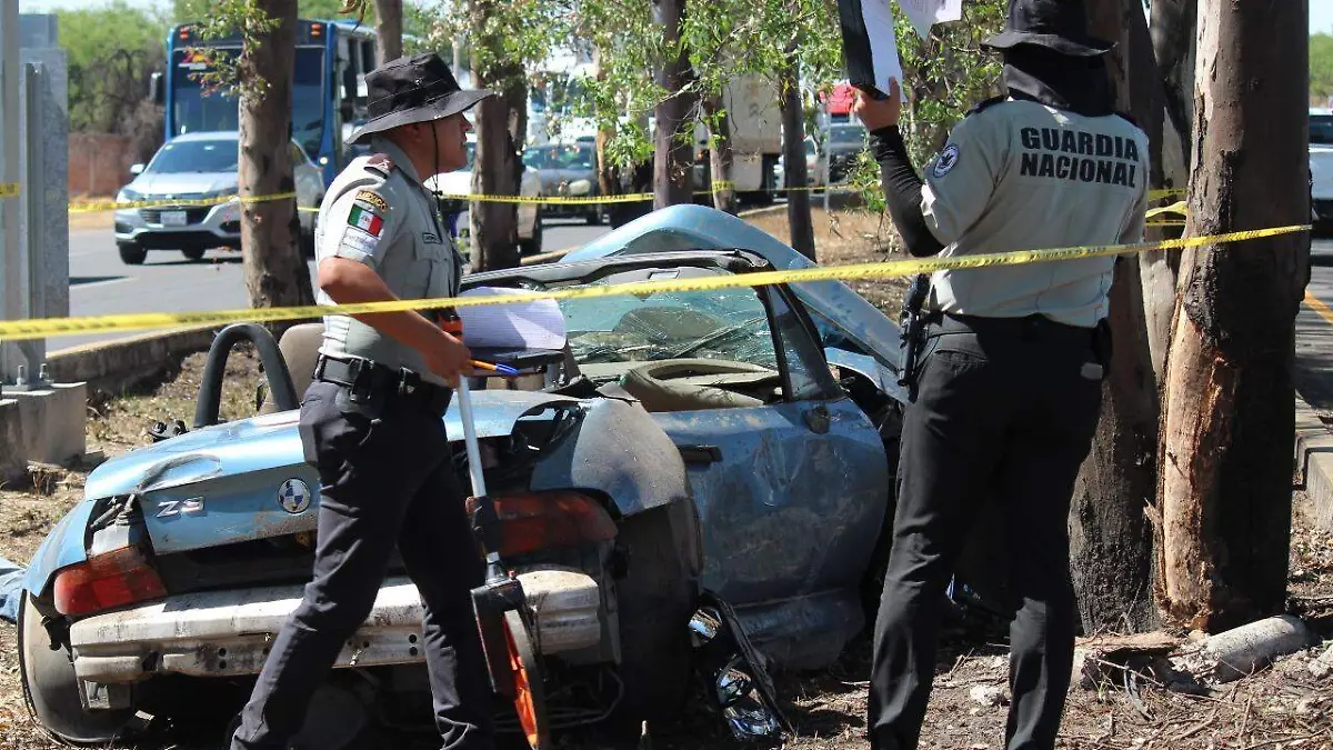 MULTA CHOQUE_CHOCAR CONTRA UN ÁRBOL