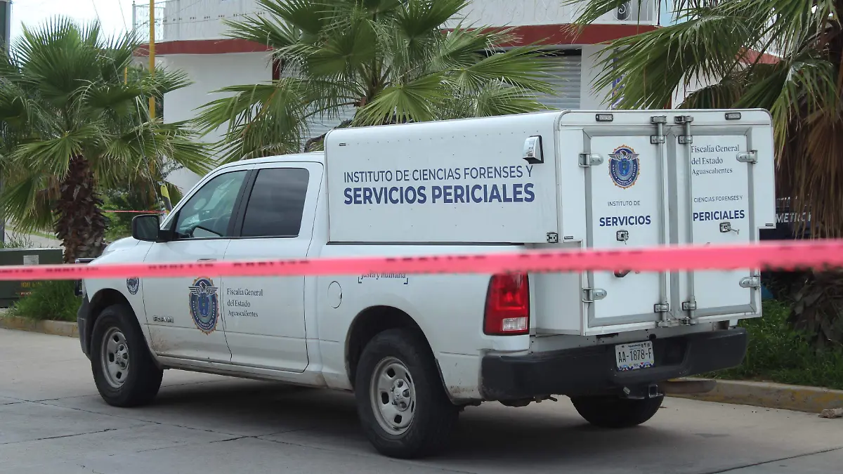 MUERTOS IDENTIFICADOS (1)