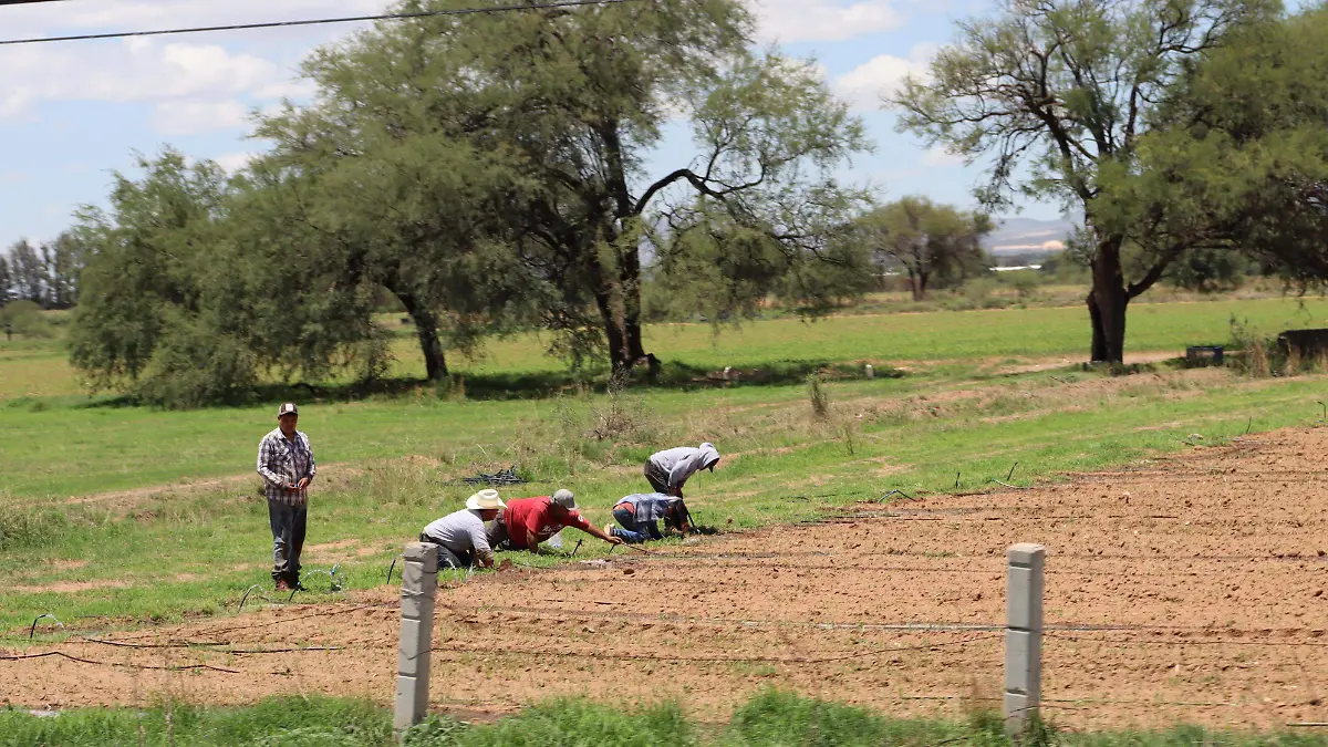 AGRICULTORES, TRÁMITES (4)