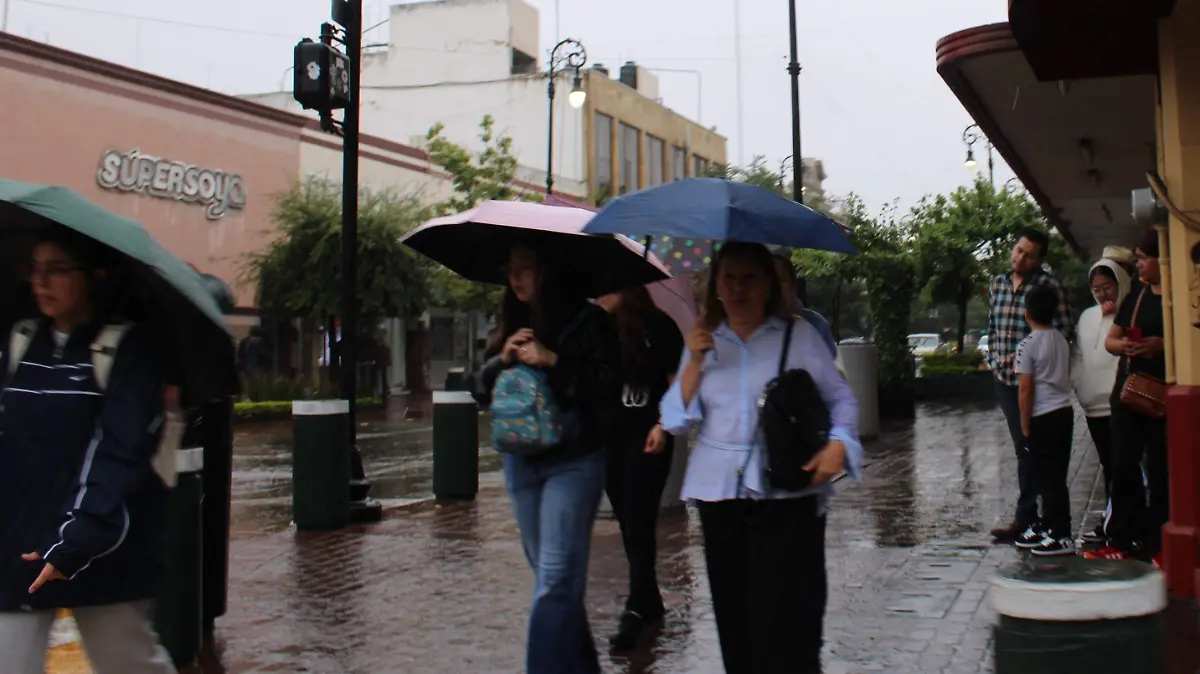 LLUVIAS_TORMENTAS_SMN