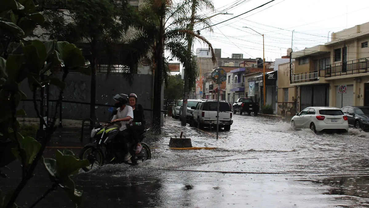 LLUVIA (3)