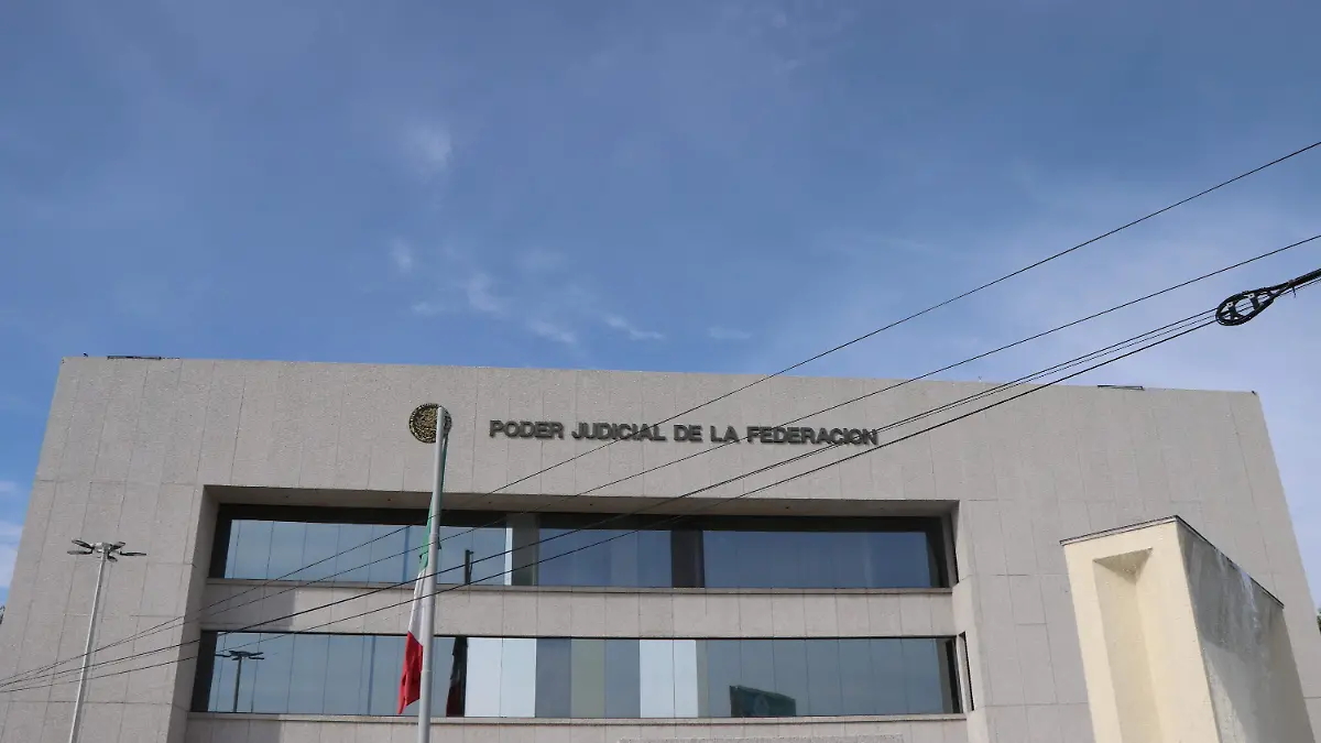 AMPAROS_JUICIOS_TRANSPARENCIA