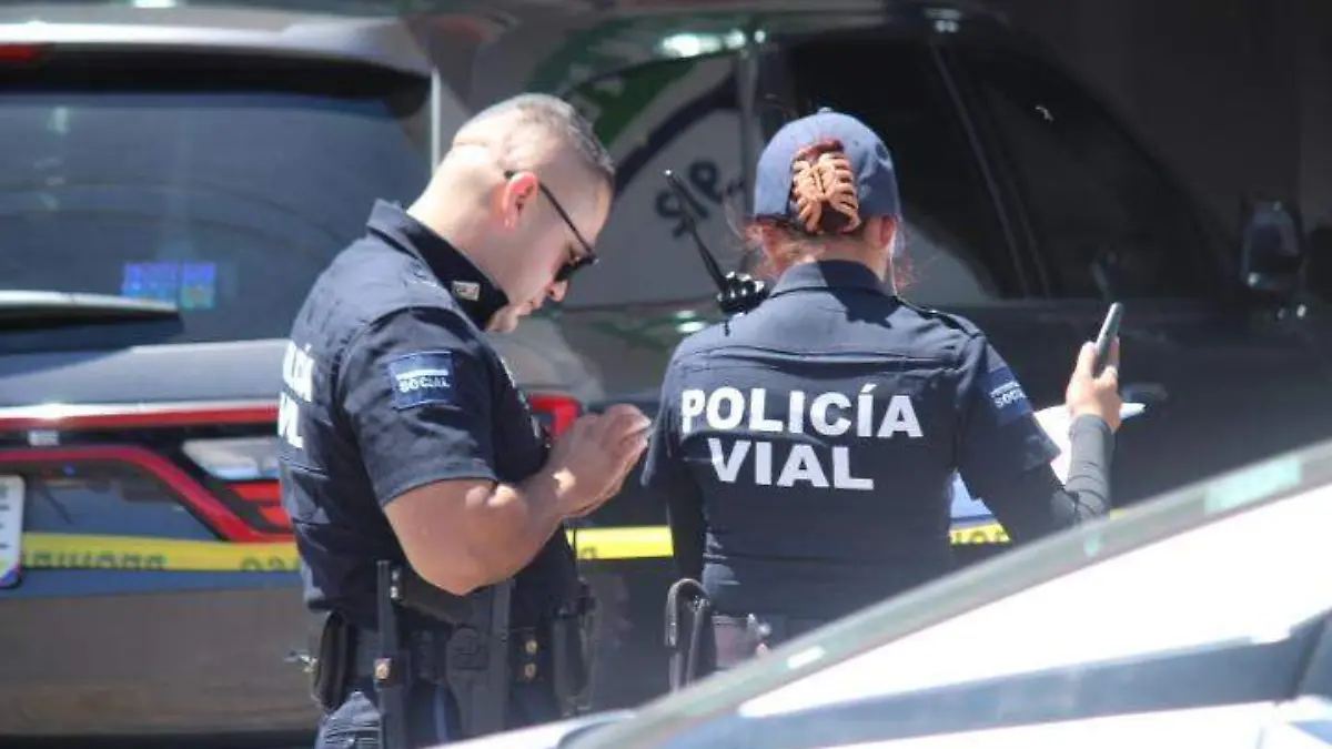 ACCIDENTES_CAUSAS_FALLECIDOS