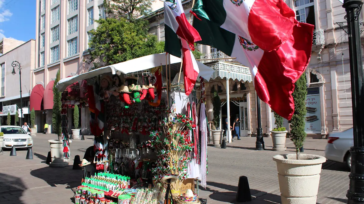 BANDERITA (1)