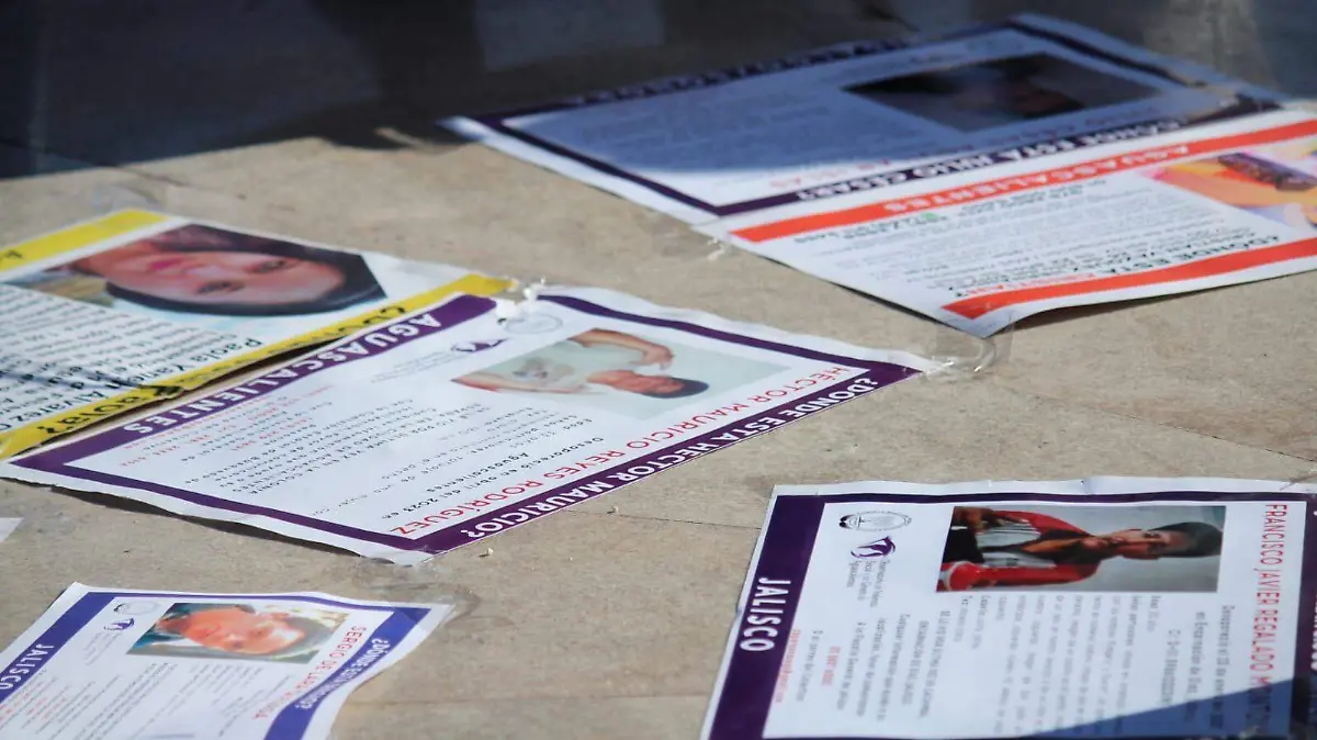 DESAPARECIDOS-FICHAS DE BÚSQUEDA