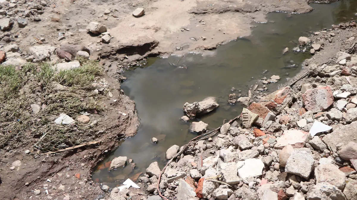 RIO SAN PEDRO-CONTAMINACIÓN-ZONAS