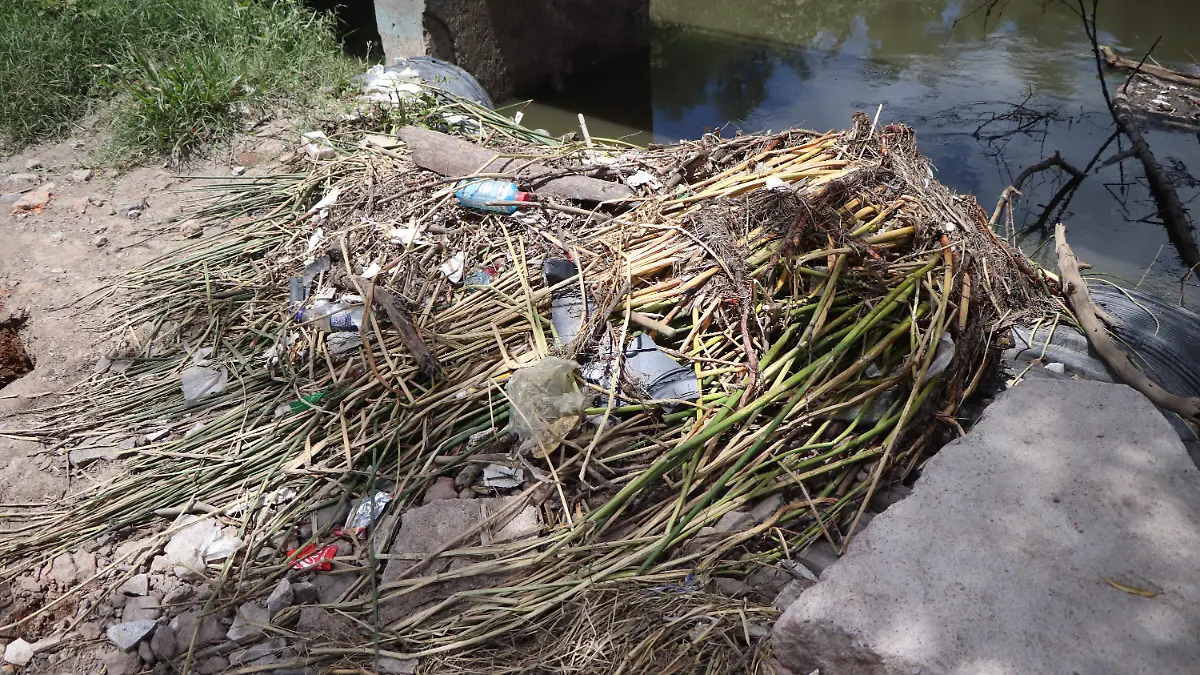 RIO SAN PEDRO-CONTAMINACIÓN-BASURA